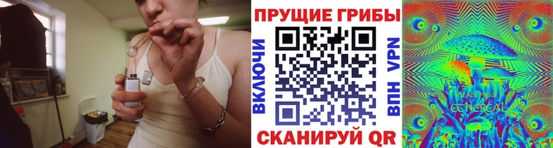 Псилоцибиновые грибы Psilocybe  Купить закладки  Ясный 